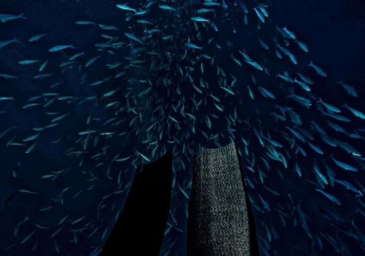 Top 5 Destinations for Deep Sea Fishing in Argentina and Beyond