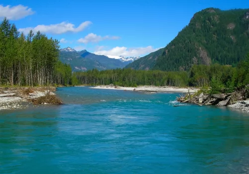 Fraser River Fishing